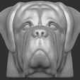 2.jpg English Mastiff head for 3D printing