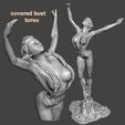 covered bust torso.jpg Elven Ballet Series 2 - by SPARX