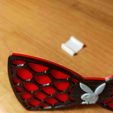 IMG20211115184650.jpg bow tie,Papillon Voronoi PLAY BOY