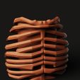 D7.11.jpg Ribcage Skeleton Planter | Gothic Anatomy Flower Pot | Dark Aesthetic Decor 3D Print