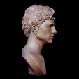 11.jpg Timothee Chalamet bust sculpture 3D print model