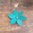20190706_102423.jpg Flower Puzzle