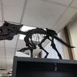 20220506_174914089_iOS.jpeg STL file Skeleton of baby Triceratops Part06/07・3D printable design to download