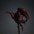 M.jpg Crab, - DOWNLOAD Crab 3d Model - PACK animated for Blender-Fbx-Unity-Maya-Unreal-C4d-3ds Max - 3D Printing Crab Crab