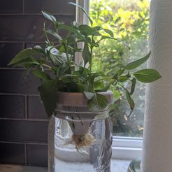IMG_20200708_122229.jpg STL file Mason Jar Hydroponic Lid・3D print object to download