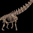 image1.jpg Alamosaurus: Complete skeleton
