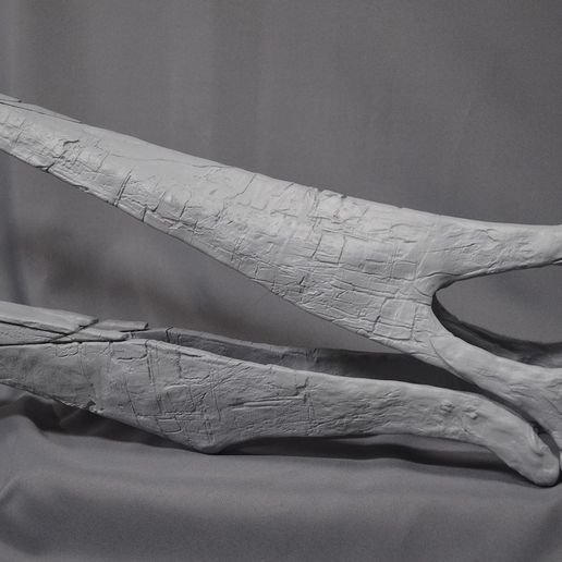 Closeup_facebook01.jpg Download file Life-size Pteranodon skull fossil • 3D printing object, Inhuman_species