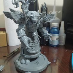 陶林高山德鲁伊 - 魔兽世界