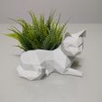 IMG_20220503_143709114.jpg Low Poly Cat Vase/Planter
