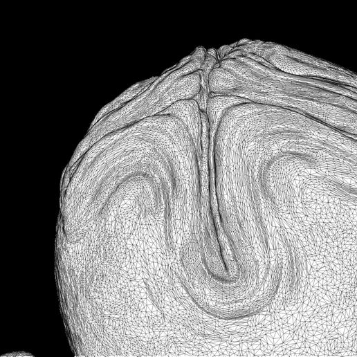 09.jpg OVOMORPHE D'ŒUF EXTRATERRESTRE IMPRIMABLE EN 3D 1979 3 VARIANTES