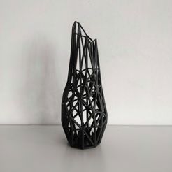 IMG_20200518_164121-01-02.jpeg Free STL file Wired Vase・3D printing design to download