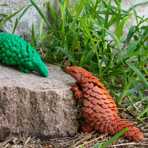 10.jpg Флекси Панголин