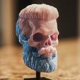 COLECCIÓN BEARD SKULL - Nº1