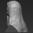5.jpg Dumbledore from Harry Potter bust 3D printing ready stl obj