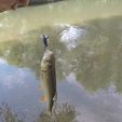 Beetle-fishing-lure-11.jpg Beetle fishing lure
