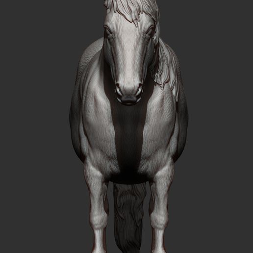 pony13.jpg Modelo de impresión 3D de poni