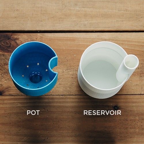 IMG_7778.jpg Self-Watering Planter (Small)