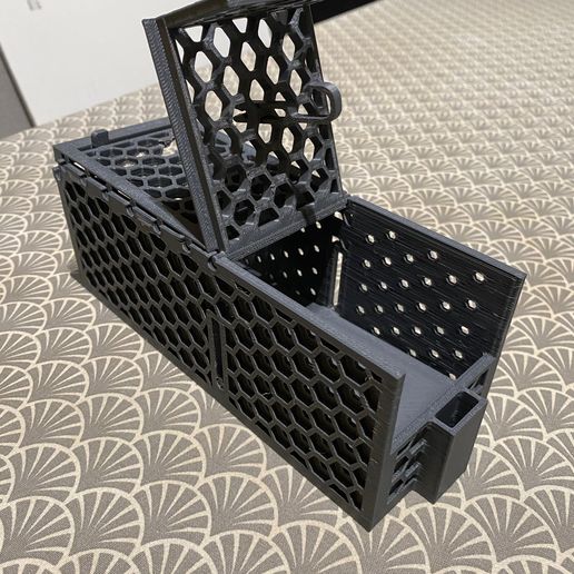 Mouse Trap, Live Trap - Changed - 3D model önizlemesi