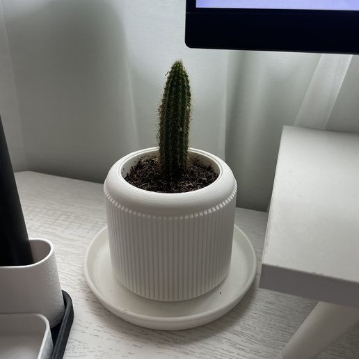 Striata Pot 3D model