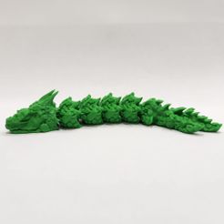 1000025813.jpg Scaled Articulated Dragon