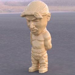 01a.jpg 2 Pac Mini