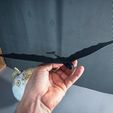 APC_0178.jpg FLYING TOOTHLESS DRAGON