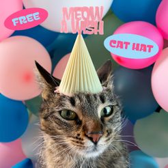 ANIMAL-PARTY-HAT-PLASTIC-3D-PRINT-by-qbed-1.jpg MEOW A WISH CAT PARTY HAT