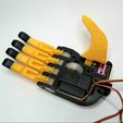 2.jpg Robotic hand