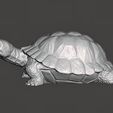 Turtle-Figurine-Pic-2.jpg Turtle Figurine