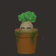 IMG_0283.jpg cute Mandrake in Pot