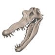 02.jpg Spinosaurus aegypticus