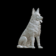 Capture-d’écran-2023-07-12-à-11.27.48.png dog German shepherd
