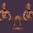 9.jpg conor mcgregor