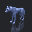 14_TDA0610_WolfB00-1.png Wolf