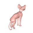 model-2.png Sphynx cat low poly