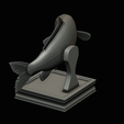 common-carp-trophy-2-2-1-32.png COMMON CARP (CYPRINUS CARPIO) fish in motion trophy statue detailed texture for 3d printing