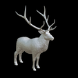 Capture-d’écran-2023-07-06-à-10.32.03.png elk deer