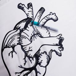 Corazón humano anatómico decoración de pared corazón humano