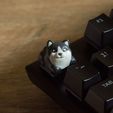 Dogys_keycaps-12.jpg Doggies Tastenkappen - Mechanische Tastatur