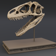untitled.png Allosaurus Dinosaur Skull Replica