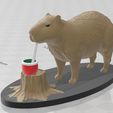 2.jpg capybara drinking mate