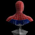 Base-Render-38781.jpg Spider-Man Bust (Sam Raimi Version)