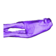mandibleE.obj lifesized Andalgalornis Skull