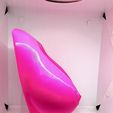 IMG_2556.jpg breasts, looking for full female