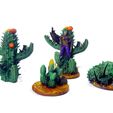 Desert-Cactus-Collection-D1-Mystic-Pigeon-June-2020-(2).jpg Cactus plant set fantasy scatter terrain (desert plants and scatter terrain, tabletop/wargame terrain)