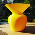 IMG_20190411_181848_493.jpg Download STL file 3dgregor "open" vase • 3D printable model, moulin3d