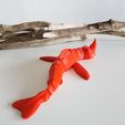 20220717_070700.jpg Red Bluster - The Sea Beast (Flexi)