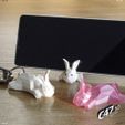 Bunny_0.jpg Bunny Phone Holder - Commercial License