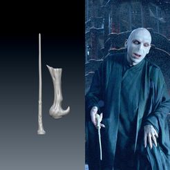 Volde.jpg Voldemort wand