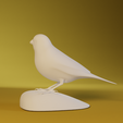 0003.png Canary